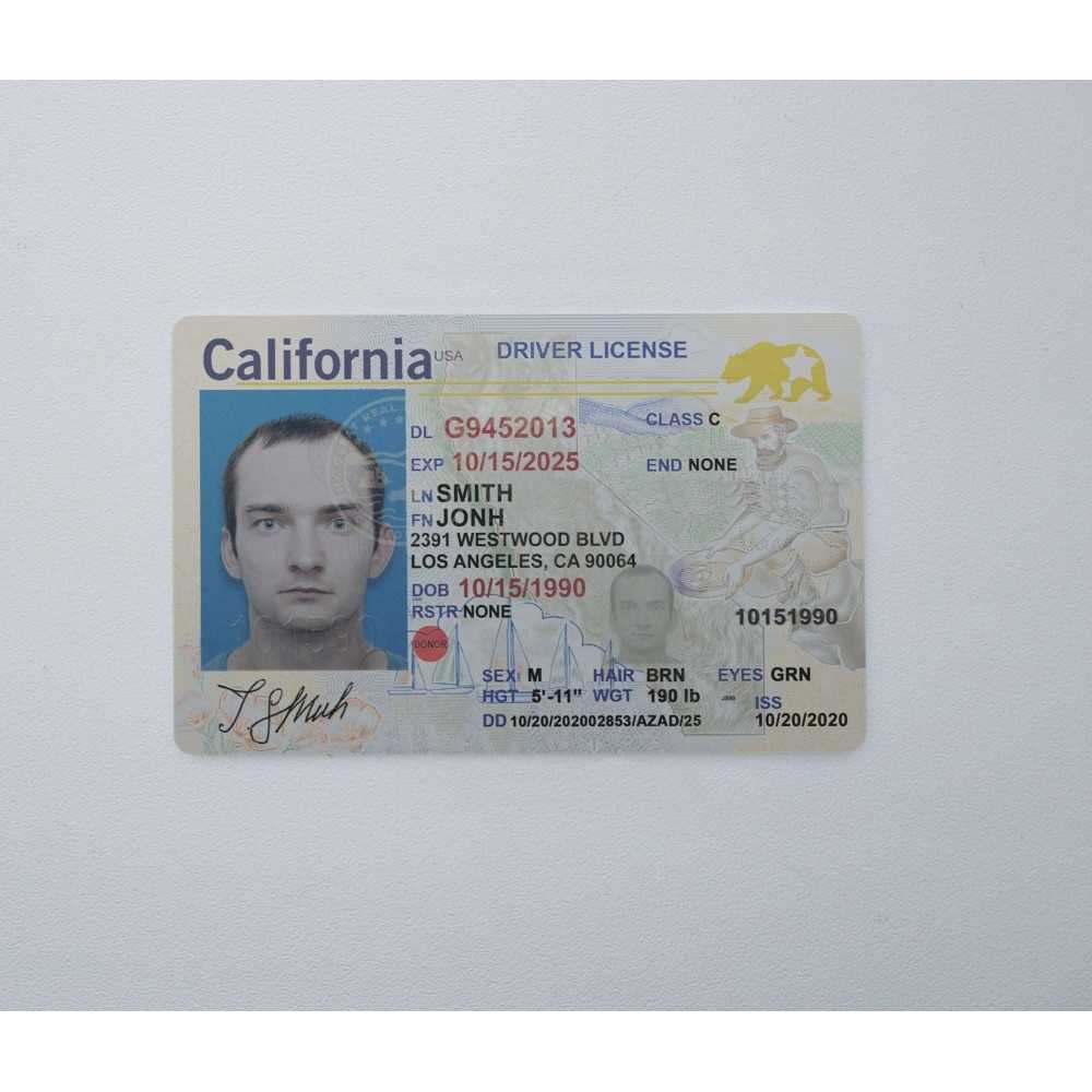 USA driver’s license